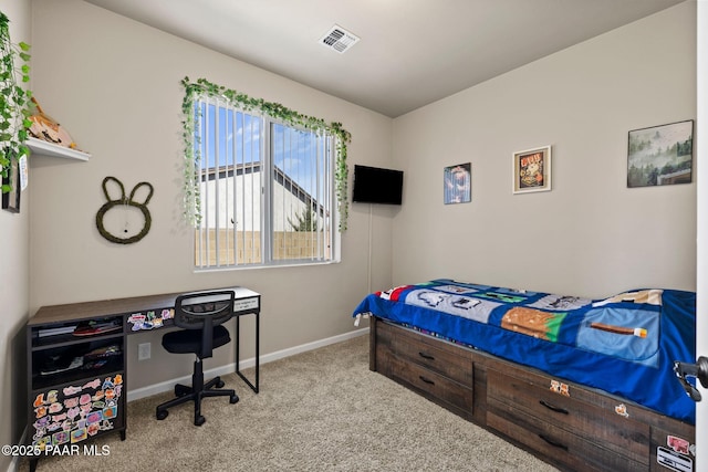 377 Grafton Ct, Chino Valley, AZ 86323 - photo 30