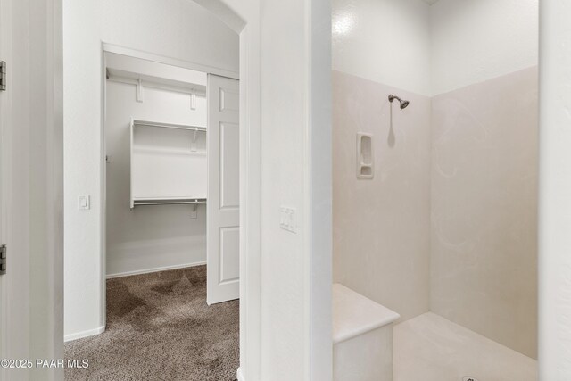 4276 N Pembroke St, Prescott Valley, AZ 86314 - bathroom with a shower stall and a spacious closet