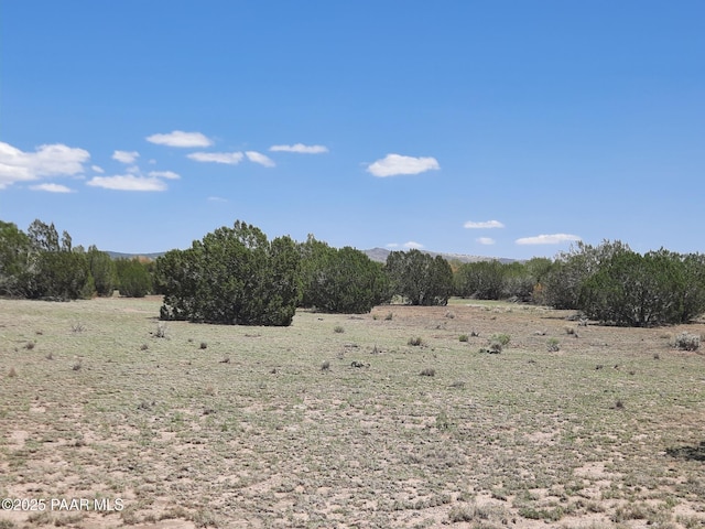 LOT1389 Anvil Rock Rd, Seligman, AZ 86337 - photo 2