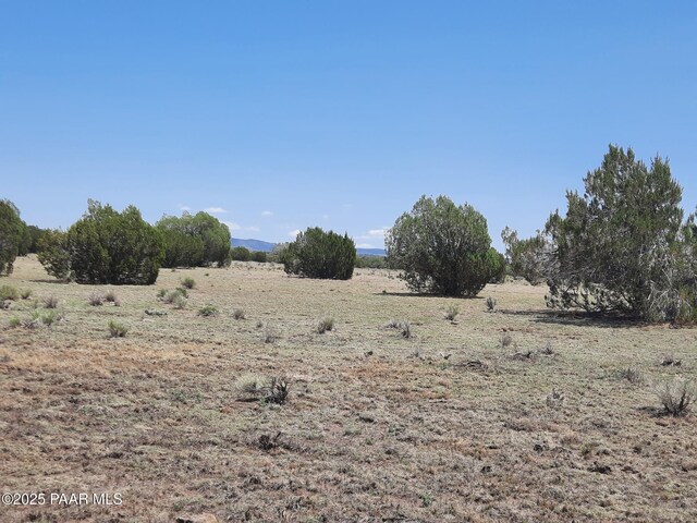 LOT1389 Anvil Rock Rd, Seligman, AZ 86337 - photo 5