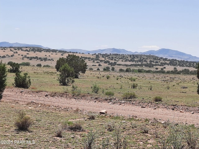 LOT1389 Anvil Rock Rd, Seligman, AZ 86337 - photo 6