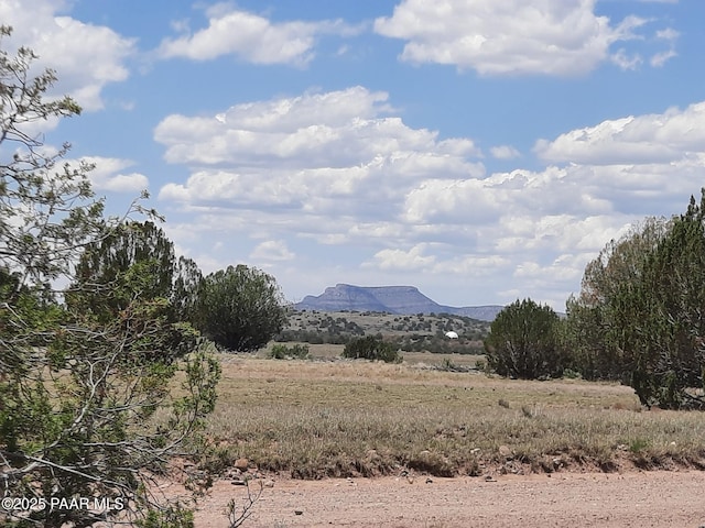 LOT1389 Anvil Rock Rd, Seligman, AZ 86337 - photo 1