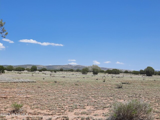 LOT1389 Anvil Rock Rd, Seligman, AZ 86337 - photo 8