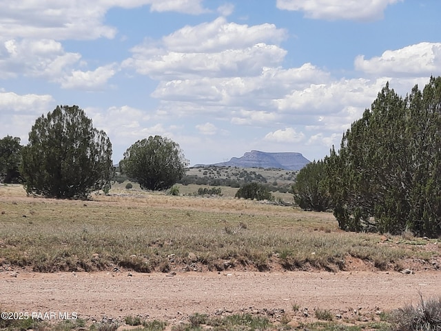 LOT1389 Anvil Rock Rd, Seligman, AZ 86337 - photo 10