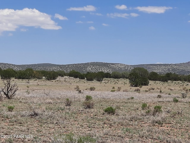 LOT1389 Anvil Rock Rd, Seligman, AZ 86337 - photo 7