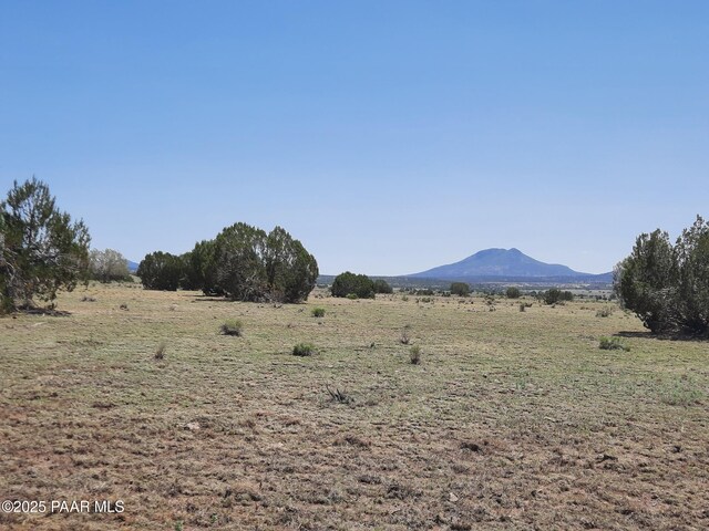 LOT1389 Anvil Rock Rd, Seligman, AZ 86337 - photo 11