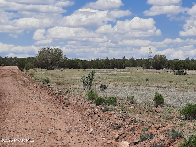 LOT1389 Anvil Rock Rd, Seligman, AZ 86337 - photo 12