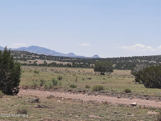 LOT1389 Anvil Rock Rd, Seligman, AZ 86337 - photo 3