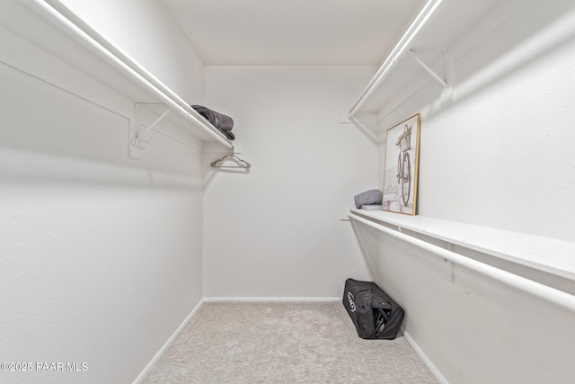 502 E Le Marche Ave, Phoenix, AZ 85022 - walk in closet with carpet floors