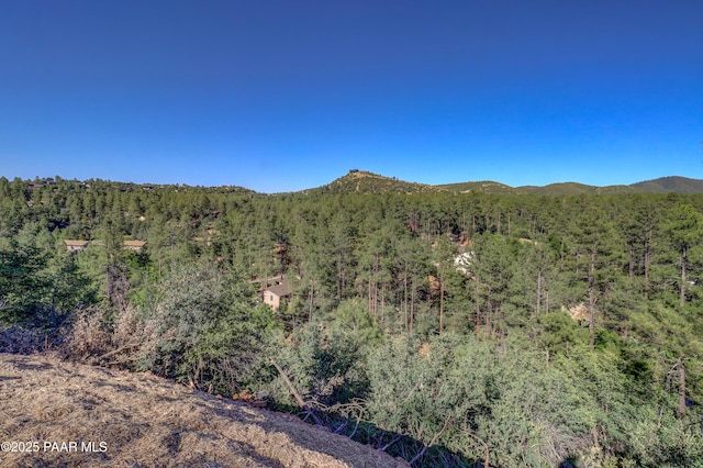1420 White Spar Rd, Prescott, AZ 86303 - photo 10