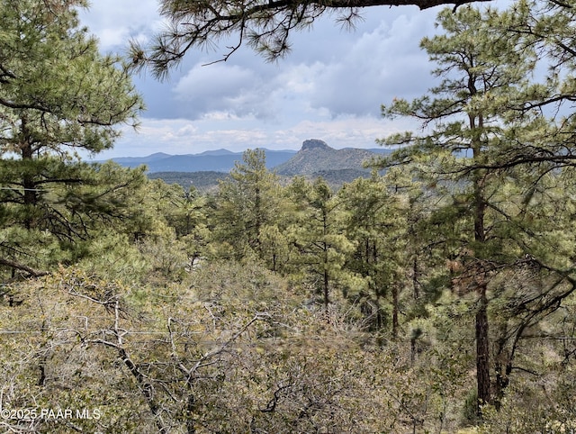 1251 Navajo Way, Prescott, AZ 86305 - view of mountain backdrop with a heavily wooded area