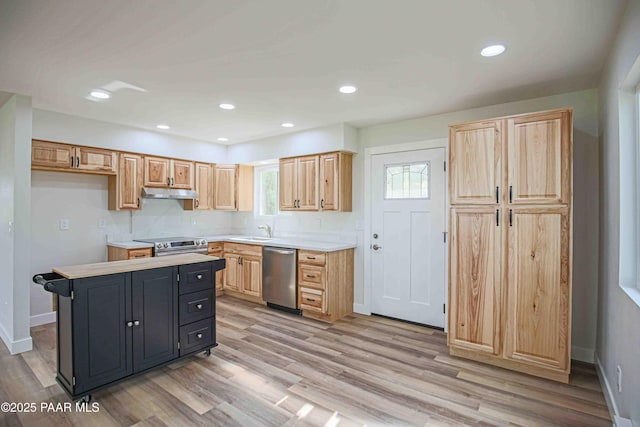 1251 Navajo Way, Prescott, AZ 86305 - kitchen with appliances with stainless steel finishes, under cabinet range hood, light countertops, light wood-type flooring, and a sink