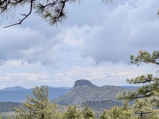 1251 Navajo Way, Prescott, AZ 86305 - view of mountain background