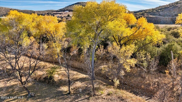 14420 Jagged Tooth Trl, Mayer, AZ 86333 - property view of mountains