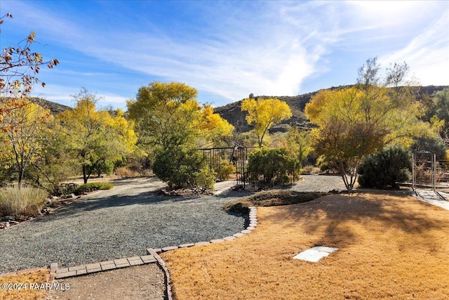14420 Jagged Tooth Trl, Mayer, AZ 86333 - view of community with a mountain view