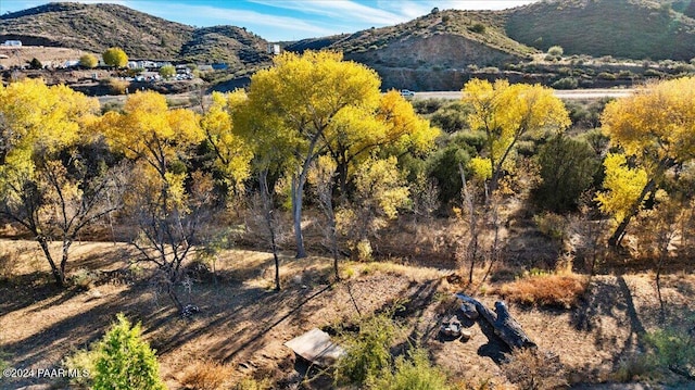 14420 Jagged Tooth Trl, Mayer, AZ 86333 - mountain view