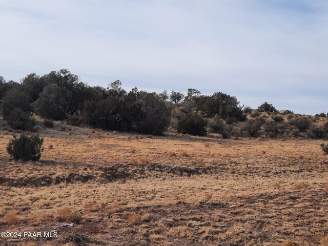094 W Denny 5, Seligman, AZ 86337 - photo 4