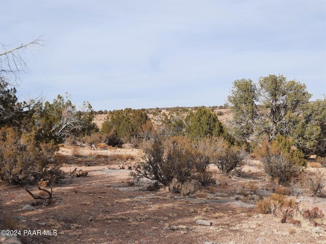 094 W Denny 5, Seligman, AZ 86337 - photo 1