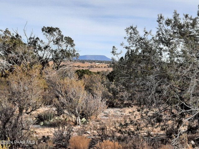 094 W Denny 5, Seligman, AZ 86337 - photo 2