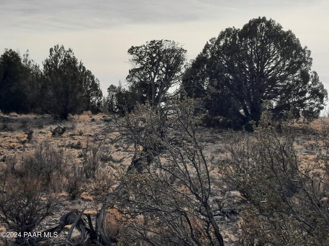 094 W Denny 5, Seligman, AZ 86337 - photo 10