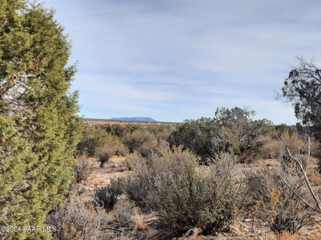 094 W Denny 5, Seligman, AZ 86337 - photo 11