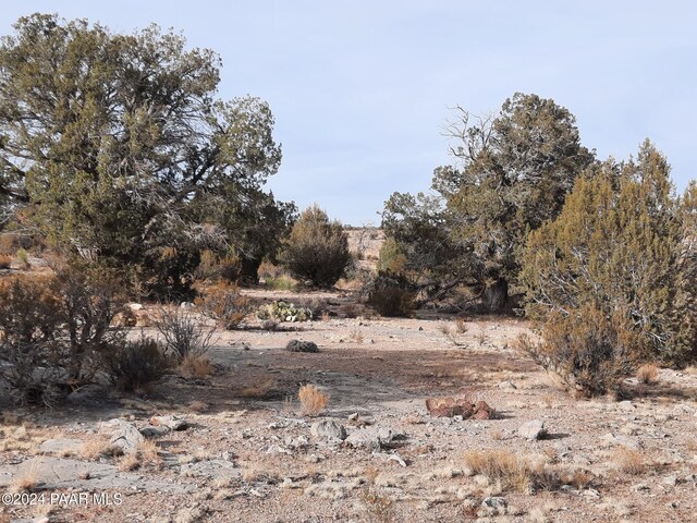 094 W Denny 5, Seligman, AZ 86337 - photo 5