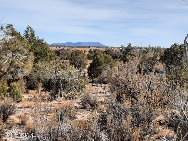 094 W Denny 5, Seligman, AZ 86337 - photo 7