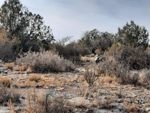 094 W Denny 5, Seligman, AZ 86337 - photo 8