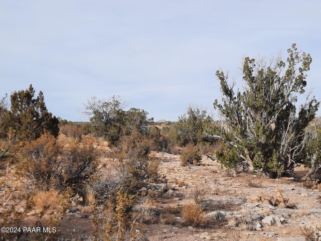 094 W Denny 5, Seligman, AZ 86337 - photo 6