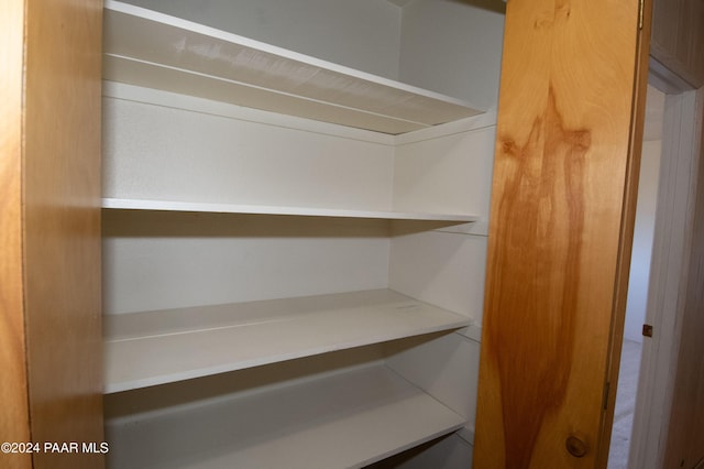 view of closet