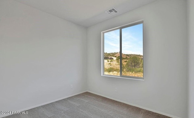 view of carpeted spare room