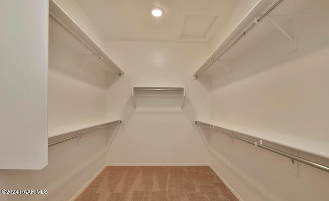 walk in closet featuring light carpet