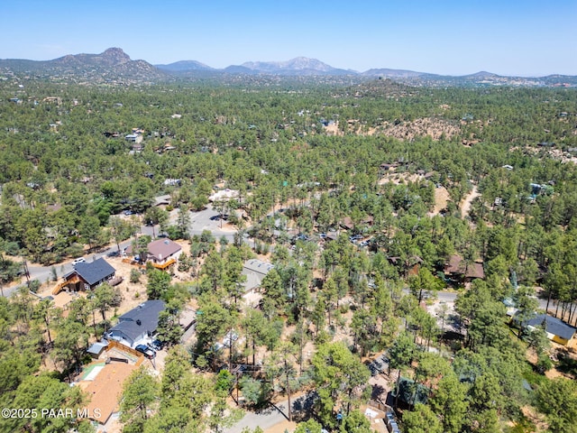 847 Clubhouse Dr, Prescott, AZ 86303 - photo 62