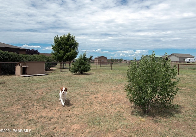 view of yard with a shed