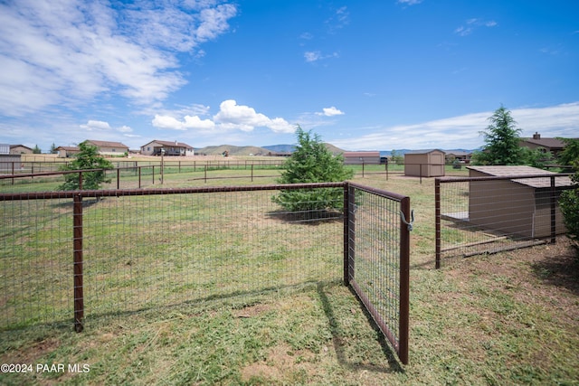 view of yard featuring a storage unit