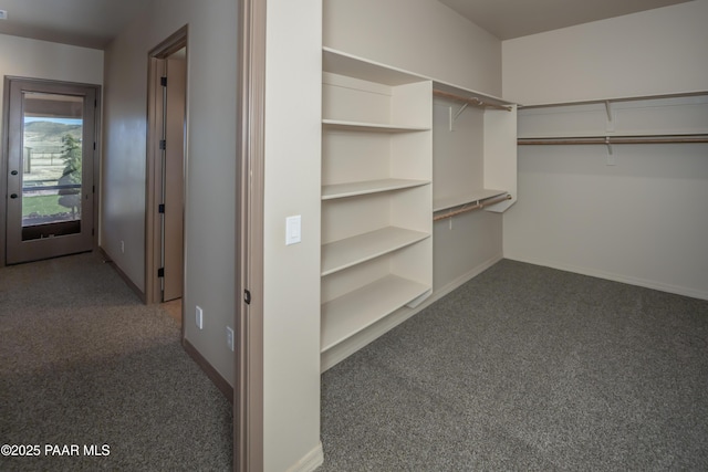 walk in closet with dark carpet