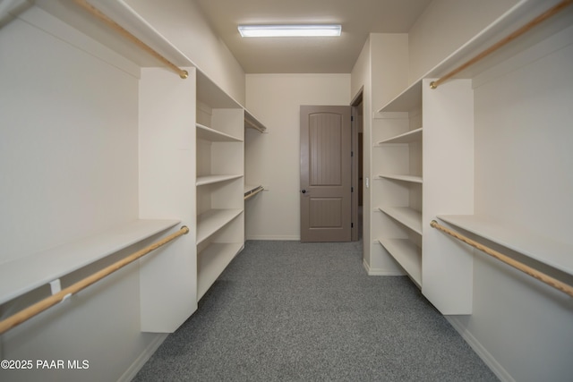 walk in closet with dark colored carpet