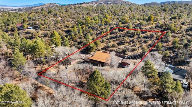 249 S Lynx Creek Rd, Prescott, AZ 86303 - drone / aerial view with a mountain view