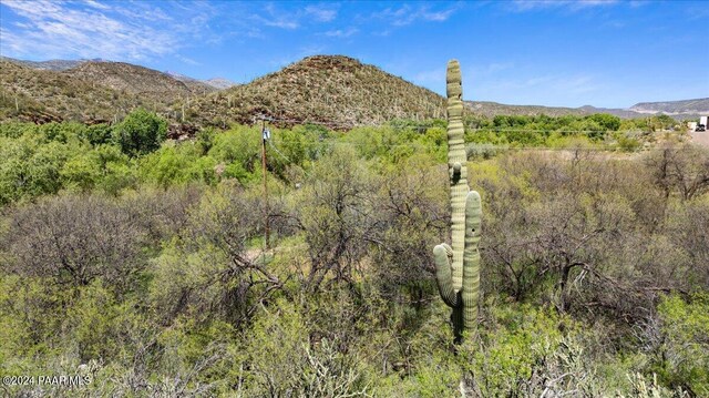 34950 S Kings Way, Black Canyon City, AZ 85324 - photo 8
