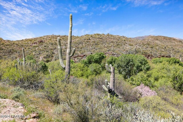 34950 S Kings Way, Black Canyon City, AZ 85324 - photo 9