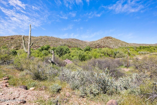 34950 S Kings Way, Black Canyon City, AZ 85324 - photo 10