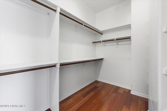 walk in closet with dark hardwood / wood-style floors