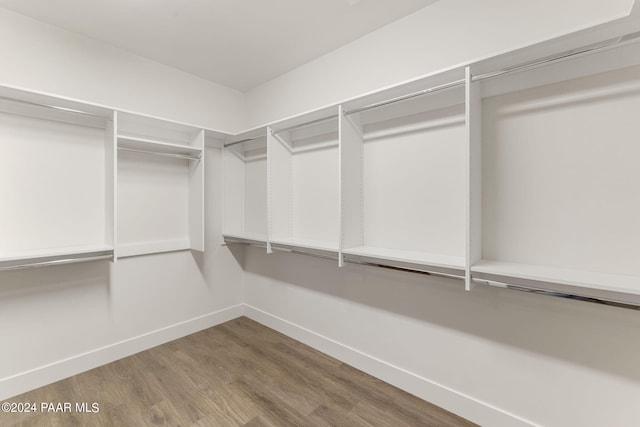 spacious closet with hardwood / wood-style floors