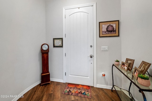 foyer entrance with dark hardwood / wood-style floors