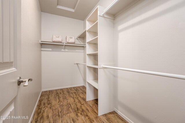 walk in closet featuring wood finished floors