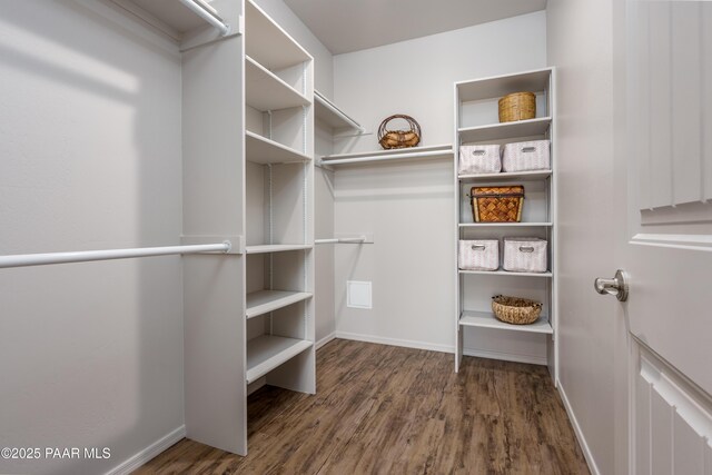 spacious closet featuring wood finished floors