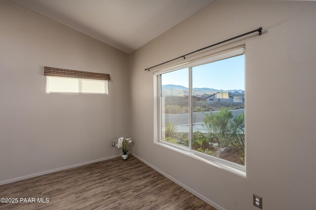 empty room featuring a mountain view, lofted ceiling, and a healthy amount of sunlight