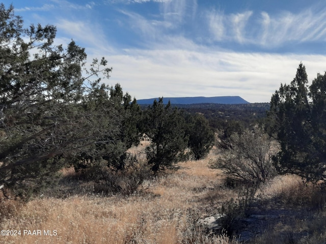 LOT4931 N Bridge Canyon Pkwy, Seligman AZ, 86337 land for sale