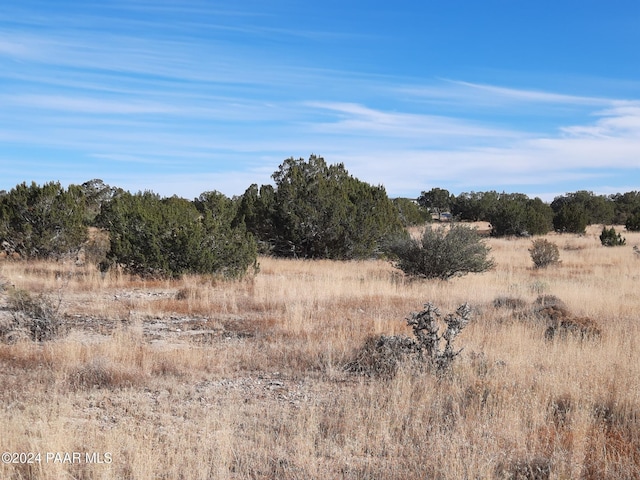 Listing photo 3 for LOT4931 N Bridge Canyon Pkwy, Seligman AZ 86337