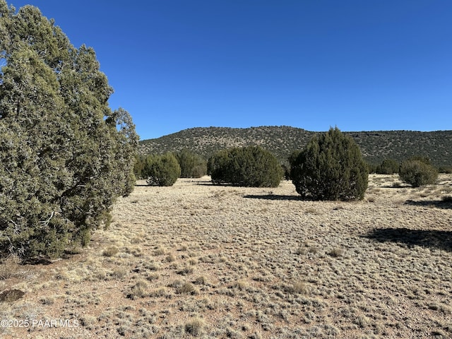 Listing photo 3 for 932 NW Thirsty Burro, Seligman AZ 86337